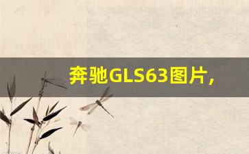 奔驰GLS63图片,gls63 amg2023款